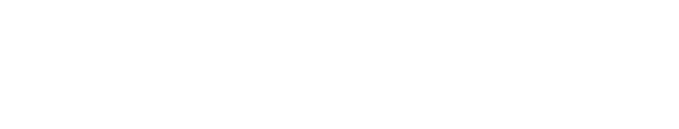 Risleben Sicherheitstechnik