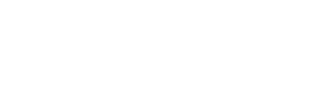 PegasusPrint